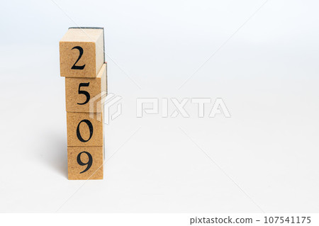 Wooden block number 2509 Wooden block number 2509 107541175