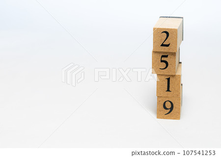 木塊編號 2519 107541253