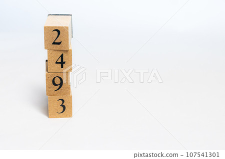 木塊編號 2493 107541301