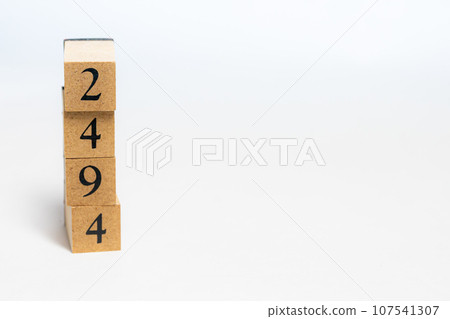 木塊編號 2494 木塊編號 2494 107541307