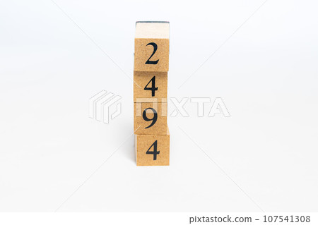 木塊編號 2494 木塊編號 2494 107541308