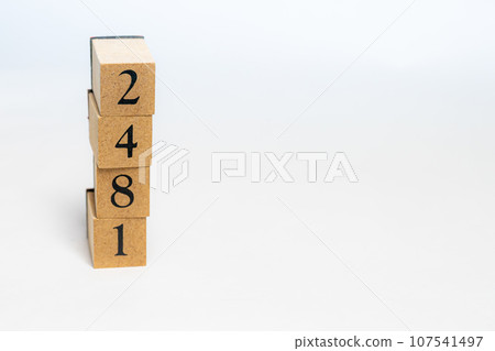 木塊編號 2481 107541497