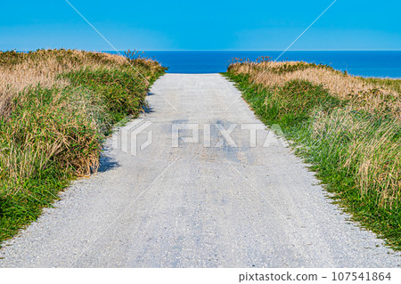 賽亞山的白色道路 107541864