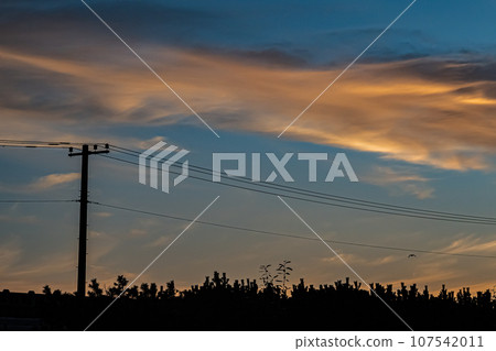 Morning scenery of Wakkanai City 107542011