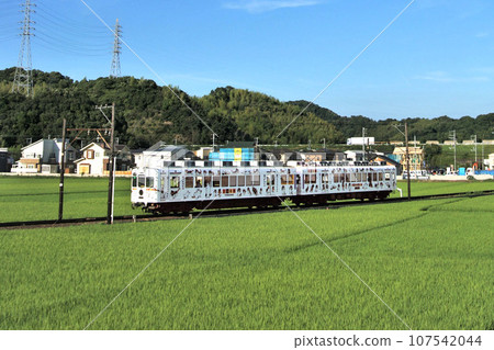 Tama Train Wakayama Electric Railway Kishigawa Line Tama Train Wakayama Electric Railway Kishigawa Line 107542044
