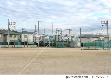 Landscape of the schoolyard 107542203