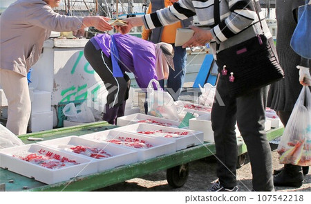 Direct sale of fresh fish from Saikazaki Fishing Port Wakayama City Direct sale of fresh fish from Saikazaki Fishing Port Wakayama City 107542218