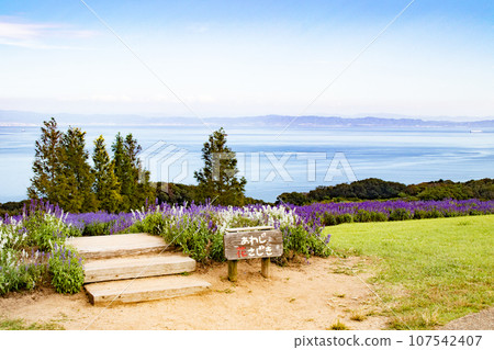 Seto Inland Sea seen from Hanasajiki, Awaji Island, Hyogo Prefecture 107542407