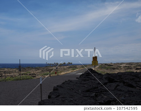 夏威夷火山國家公園火山口鏈路 107542595