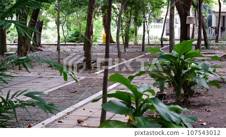 Wat Nangchi, Chruch in Buddhism and garden Wat Nangchi, Chruch in Buddhism and garden 107543012