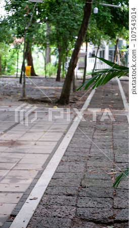 Wat Nangchi, Chruch in Buddhism and garden Wat Nangchi, Chruch in Buddhism and garden 107543014