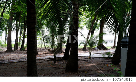 Wat Nangchi, Chruch in Buddhism and garden Wat Nangchi, Chruch in Buddhism and garden 107543015