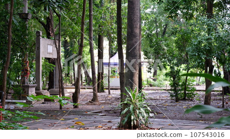 Wat Nangchi, Chruch in Buddhism and garden Wat Nangchi, Chruch in Buddhism and garden 107543016