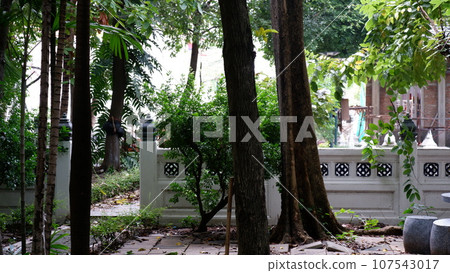 Wat Nangchi, Chruch in Buddhism and garden 107543017