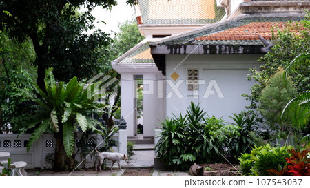 Wat Nangchi, Chruch in Buddhism and garden Wat Nangchi, Chruch in Buddhism and garden 107543037