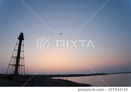 Steel tower and seagulls at dusk 107543535