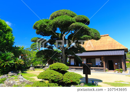 [Kagoshima] Clear sunny day at Mt. Saigodon Village (Saigodon no Yado) 107543695