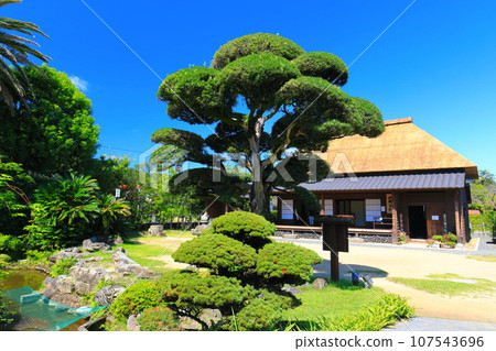 [Kagoshima] Clear sunny day at Mt. Saigodon Village (Saigodon no Yado) 107543696