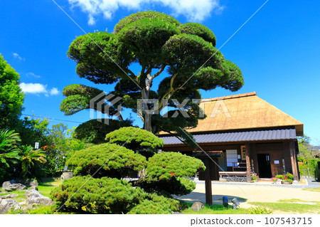 [Kagoshima] Clear sunny day at Mt. Saigodon Village (Saigodon no Yado) 107543715