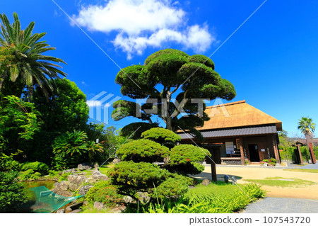 [鹿兒島]西五丼山村（西五丼之宿）晴朗的晴天 107543720