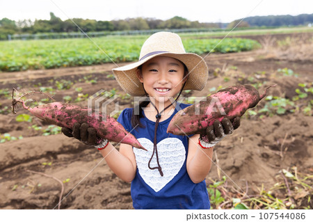 孩子們在享受挖地瓜的樂趣 107544086