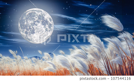 Pampas grass shining in the full moon and moonlight Pampas grass shining in the full moon and moonlight 107544116