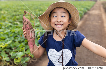 可愛的孩子收穫紅薯 107544281