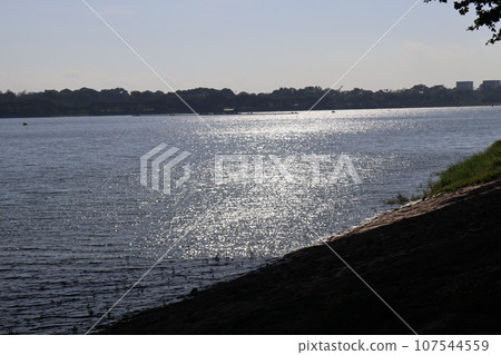 A view of the sea canal with blue sky, clouds, forest of trees, and sparkling water surface as seen from the shore A view of the sea canal with blue sky, clouds, forest of trees, and sparkling water surface as seen from the shore 107544559