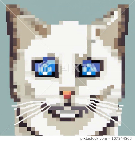 Blue background and cat Blue background and cat 107544563