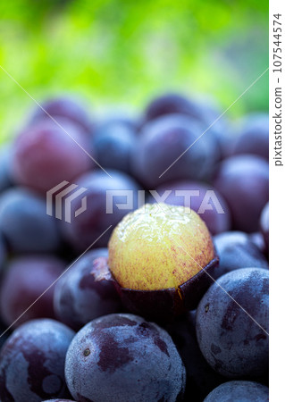 Peeled Pione (2) 107544574