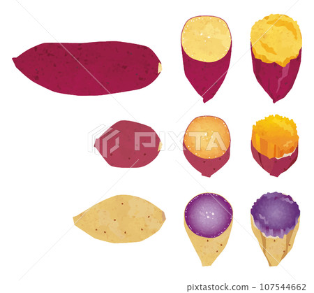 3 types of sweet potatoes_Red Azuma, Anno sweet potato, Purple sweet potato_1/half/Illustration of roasted sweet potato_Japanese paper style inset 107544662