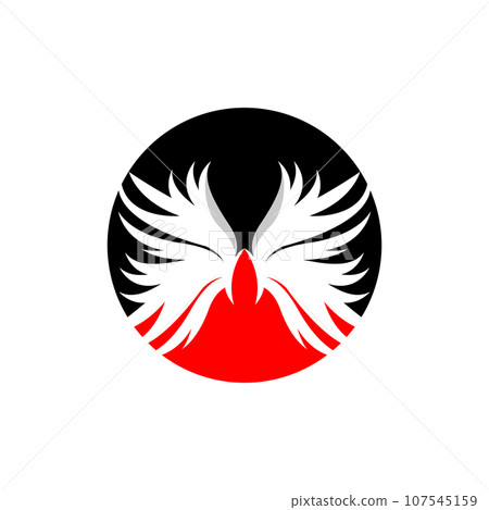 Wing Logo Design, Vector Eagle Falcon Wings, Beauty Flying Bird, Illustration Symbol 107545159