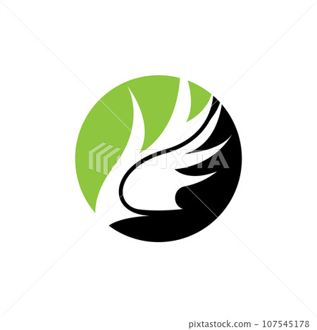 Wing Logo Design, Vector Eagle Falcon Wings, Beauty Flying Bird, Illustration Symbol Wing Logo Design, Vector Eagle Falcon Wings, Beauty Flying Bird, Illustration Symbol 107545178