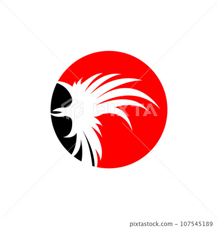 Wing Logo Design, Vector Eagle Falcon Wings, Beauty Flying Bird, Illustration Symbol 107545189
