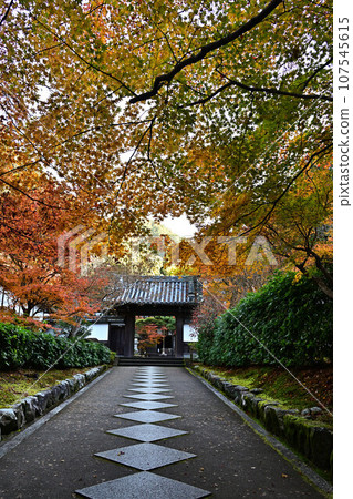 Autumn leaves in Kyoto 107545615