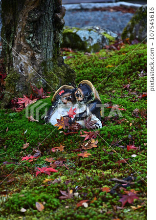 秋葉在京都 107545616