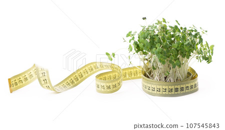 Healthy food concept, growing greenery, small business. Mustard microgreens, super food. A bunch of mustard greens is wrapped in a yellow centimeter tape. Microgreens promote weight loss, diet, 107545843