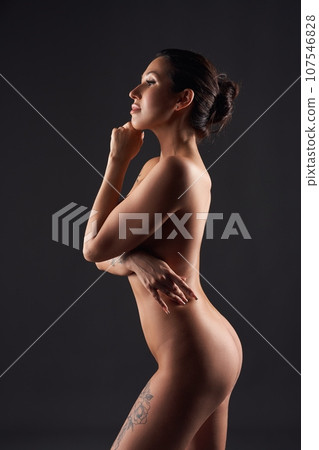 Sophisticated silhouette of a sensual woman 107546828