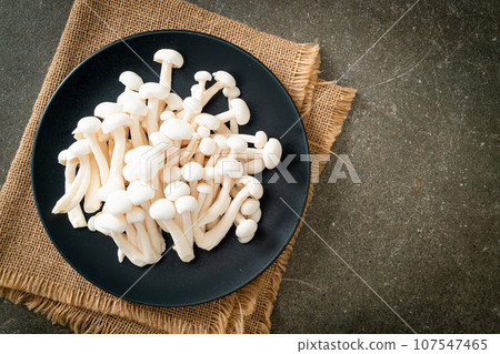 white beech mushroom or white reishi mushroom 107547465