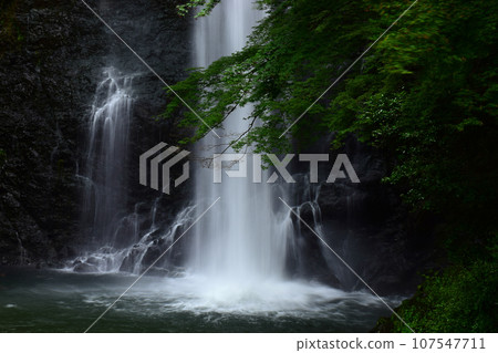 Minohisaki in early summer 107547711