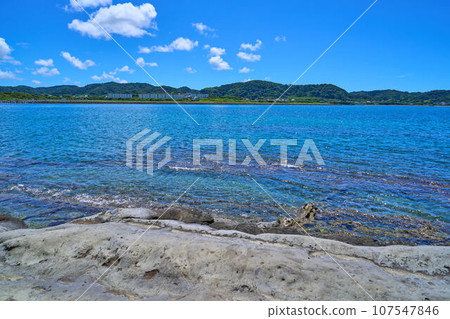 Coast below Uga Myojin Shrine on Okinoshima, Tateyama City, Chiba Prefecture (south direction) 107547846