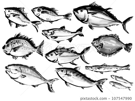 A collection of various hand-drawn fish. Japanese-style brush-drawn fish set. 107547990