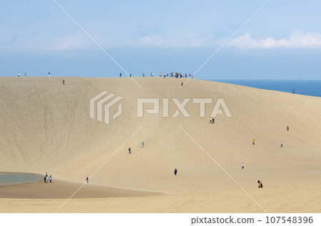 Tottori sand dunes 107548396