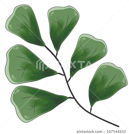 illustration of leaf and branch illustration of leaf and branch 107548832