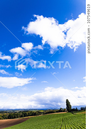 Scenery of Biei Town, Hokkaido on a clear autumn day 107549619
