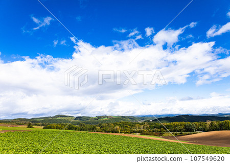 Scenery of Biei Town, Hokkaido on a clear autumn day 107549620