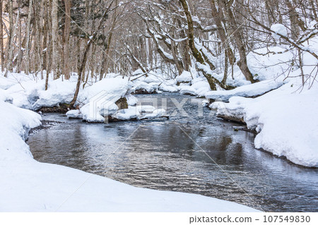 「青森縣」奧入瀨的冬季景色 107549830