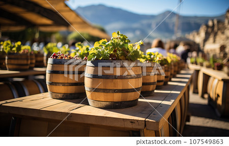 Landscape with wine barrels in the vineyards. Landscape with wine barrels in the vineyards. 107549863