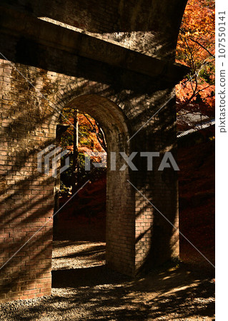 Autumn leaves in Kyoto Autumn leaves in Kyoto 107550141