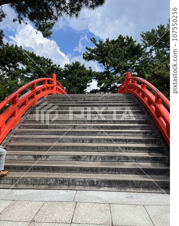 大阪住吉大社 107550256